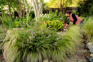 garden